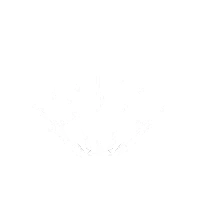 Legion Skill Q