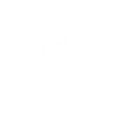 The Fey Skill P