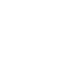 The Fey Skill R