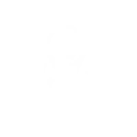 Circuit Reset