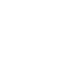 Critical Override