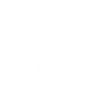 Execution Mandate