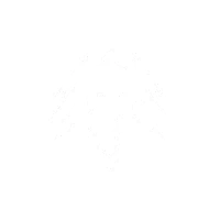 Flow State Augment