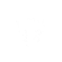 Ionic Surge