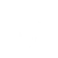 Iron Resolve