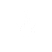 Photon Efficiency