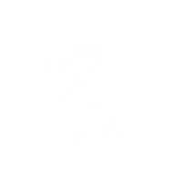 Roar of Torment